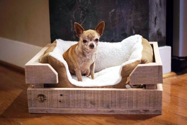 מיטת כלבים לקישוט קופסאות עץ