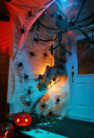 Arachnofobai galbūt norės atsisėsti šiame name.