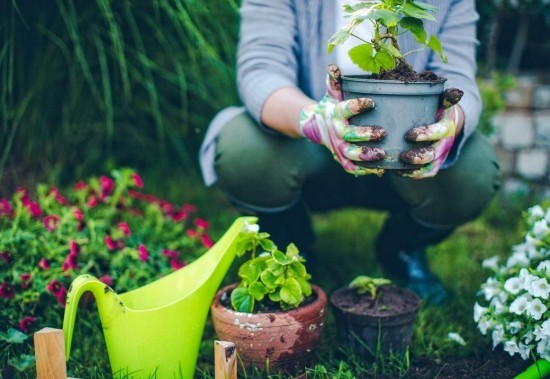 25 רעיונות לגינה מהנה לגן סוף שבוע נחמד