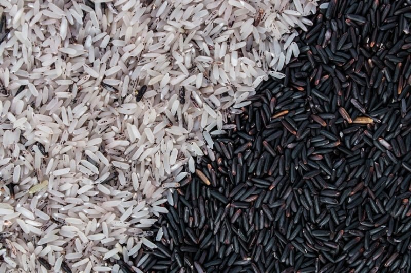 Nutriční hodnoty rýže černá rýže