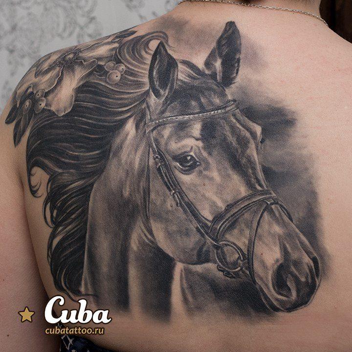 arklio portreto tatuiruotė