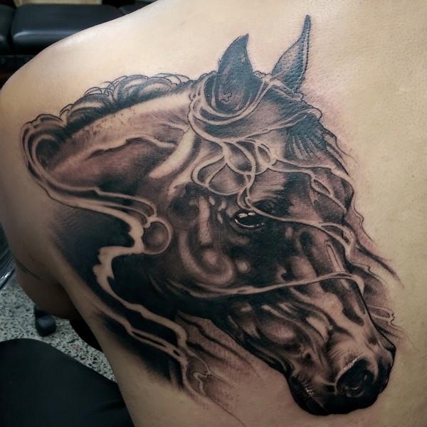 arklio tatuiruotė ant nugaros