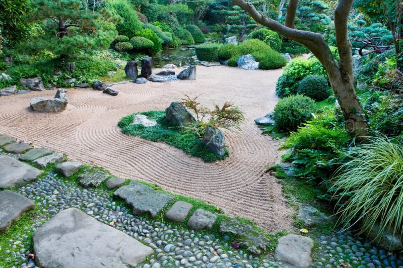 Rostlinný druh zenová zahrada