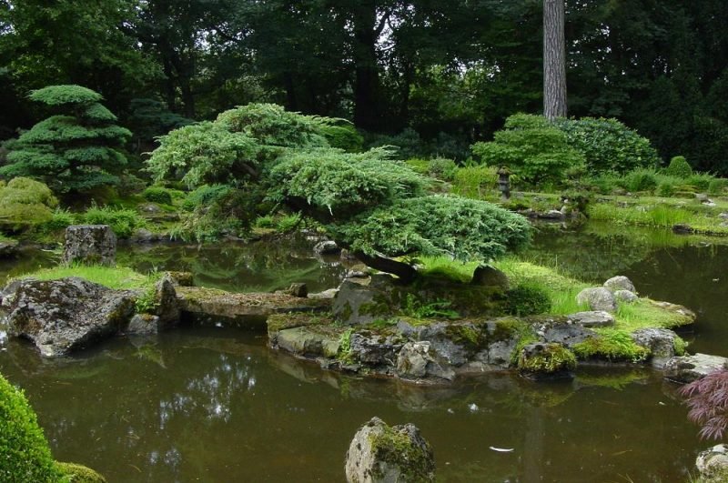Zen -hage som en oase av ro og avslapning
