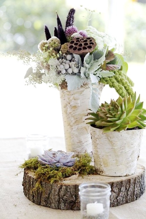 Nápady na skandinávské březové kůry a kufru břízy dekorativní květináče a vázy se sukulentními rostlinami