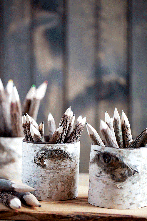 Nápady na skandinávskou březovou kůru a kmen břízy ozdobný držák na tužky z kůry a plechovek od potravin