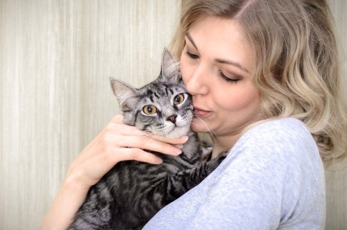 Αλλεργικές γάτες αγάπη και σχέση σχέσης γάτας