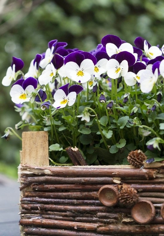 70 DIY κουτιά λουλουδιών για διακόσμηση μπαλκονιού και παραθύρου με κλαδιά ξύλινο κουτί
