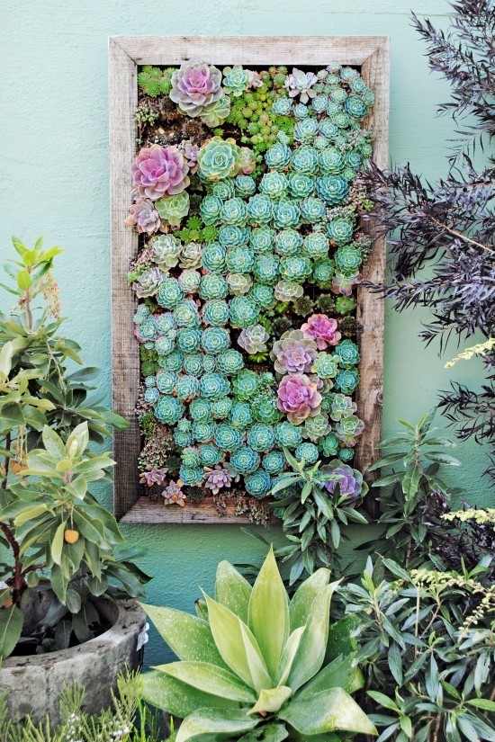 70 DIY κουτιά λουλουδιών για μπαλκόνι και παράθυρο κάθετο κήπο με καθαρά παχύφυτα