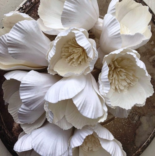 80 čerstvých jarních nápadů na výrobu tulipánů ošuntělý elegantní bílý tulipánový papír