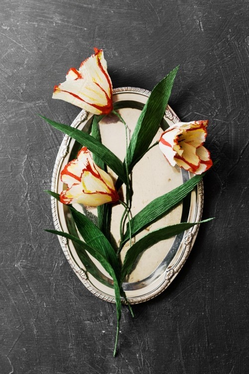 80 čerstvých jarních nápadů na výrobu tulipánových krepových papírových květin papoušků tulipány červené a bílé