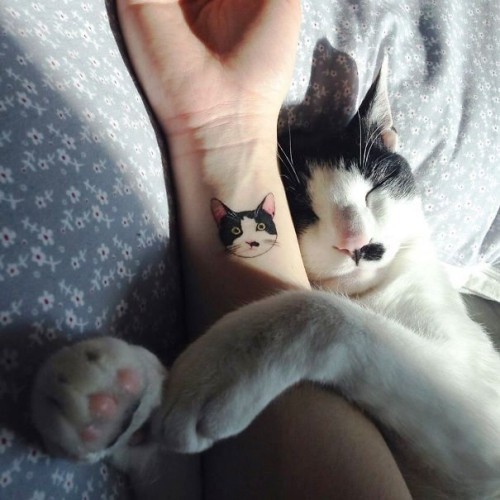 Håndleddet tatovering ideer katt portrett