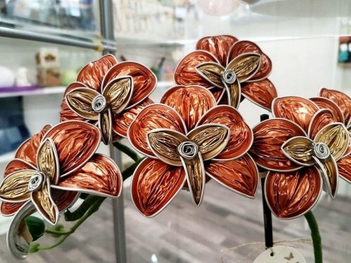 Lag med kaffekapsler komplekse vakre orkideer