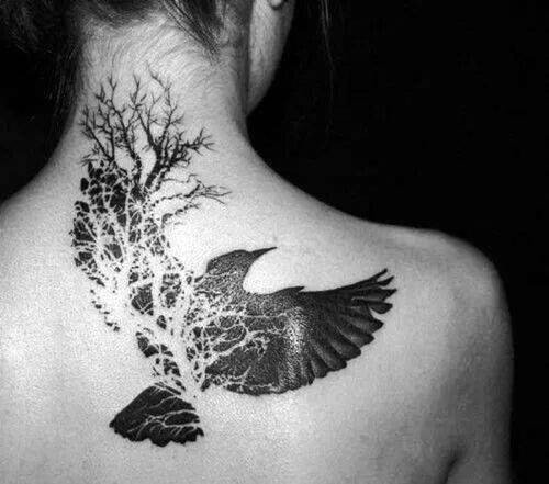Negativní vesmírné tetování navrhuje vrány a větve