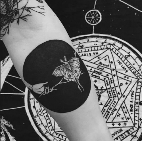 Motivy negativního prostoru tetování motte na větvi a ruce
