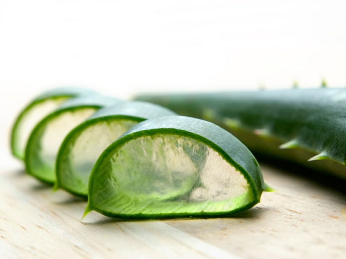 aloe vera rostlina aloe vera nápojový gel