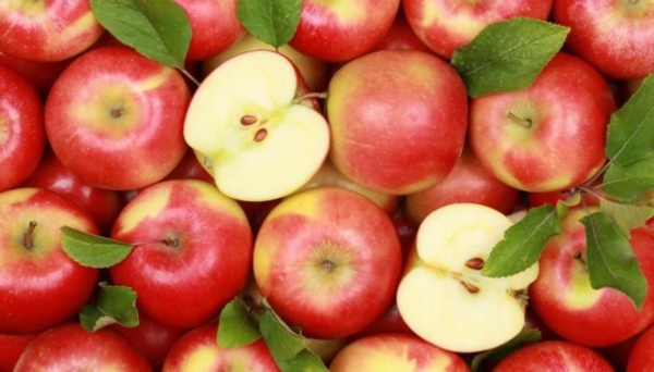 eple næringsstoffer mange vitaminer mineraler fytokjemikalier