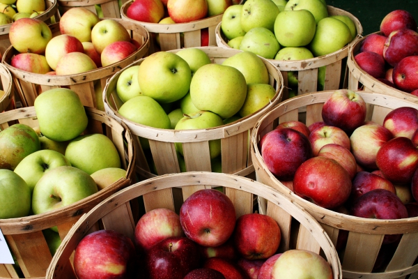 Apple Cider Eddik Diet - Hvor sunt er Detox Diet virkelig friske epler for å lage eddik