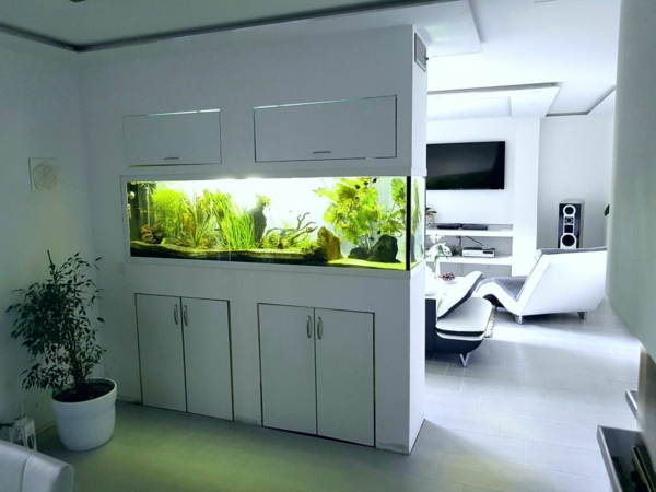 rozdělovač akvarijního pokoje obývací prostor oddělené nápady