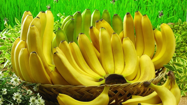 kalorie banánové živiny z banánů jsou zdravé pro banány a banány