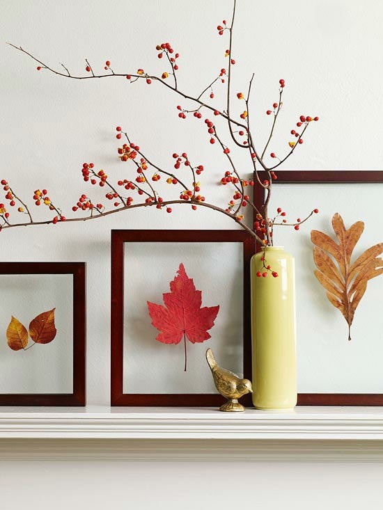 rámeček obrázku listy podzimní dekorace nápady listy stromů
