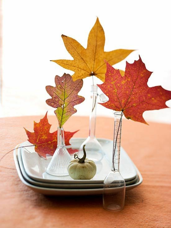 listy nápady na podzimní dekorace tipy na listy stromů
