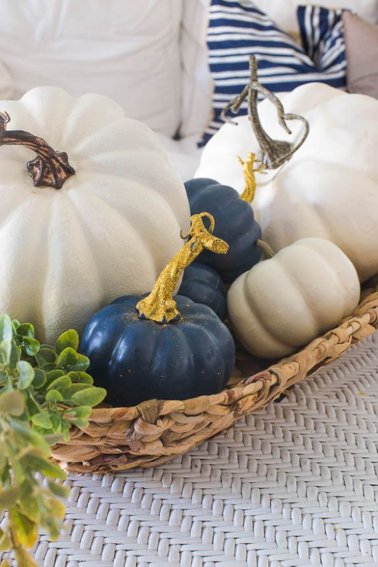 Podzimní dekorace stolu s dýněmi, bílými a tmavě modrými dýněmi v malém proutěném košíku
