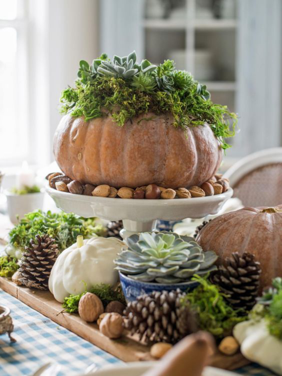 Podzimní dekorace stolu s dýní různých velikostí a barev Dýně jako váza na sukulenty a okrasné zelí