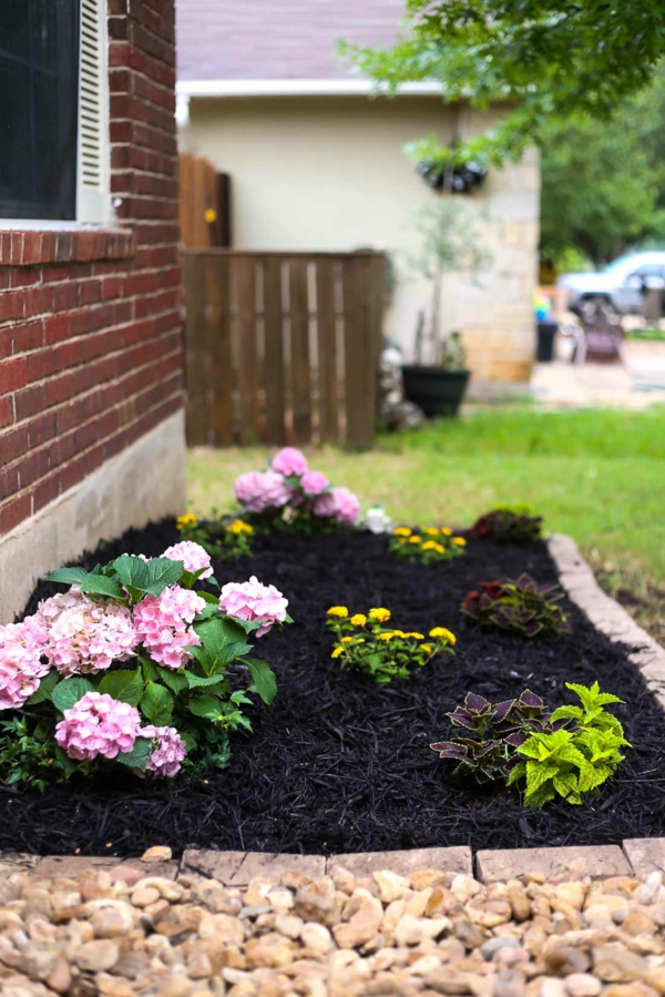 Blomsterbed ideer friske hage blomster steiner