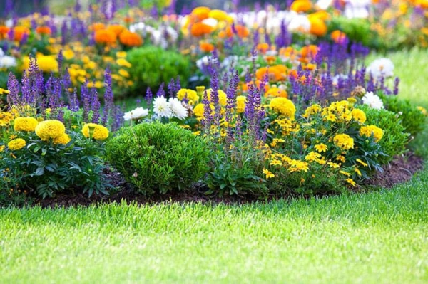 blomsterbed ideer frisk hagedesign farge glede