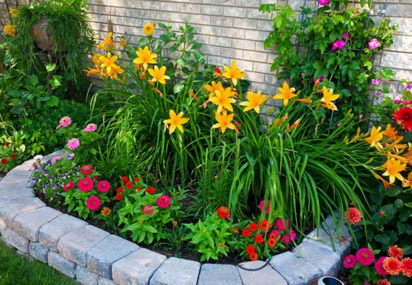 Blomsterbed ideer dyktig kombinere friske hageblomster