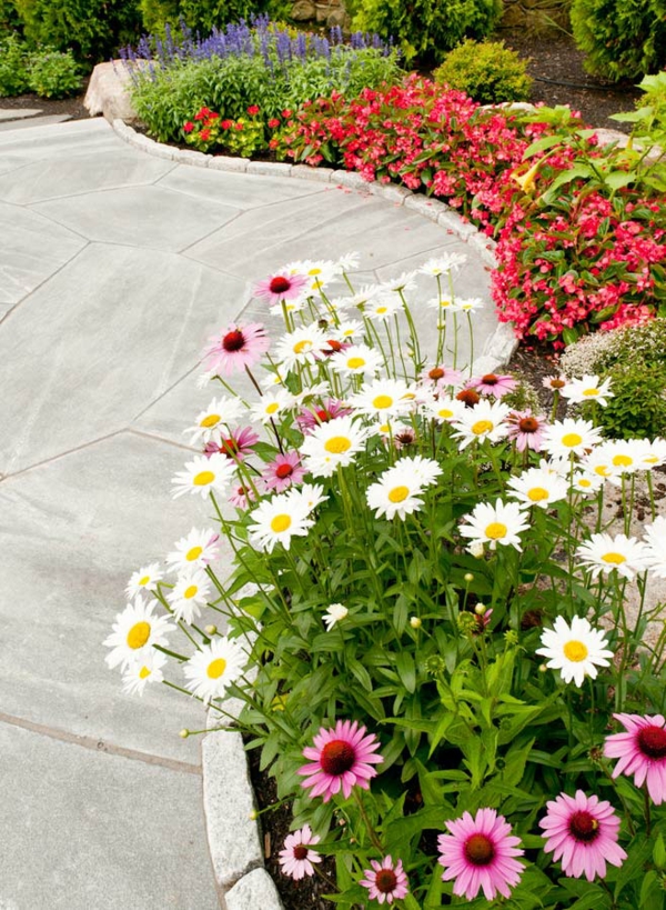 Blomsterbed ideer vakre hage ideer friske hageblomster