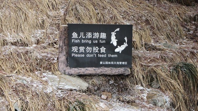 Fotoğraf shanghailist aracılığıyla Size zevk veren hiçbir şeyi veya hiç kimseyi ödüllendirmemelisiniz?!