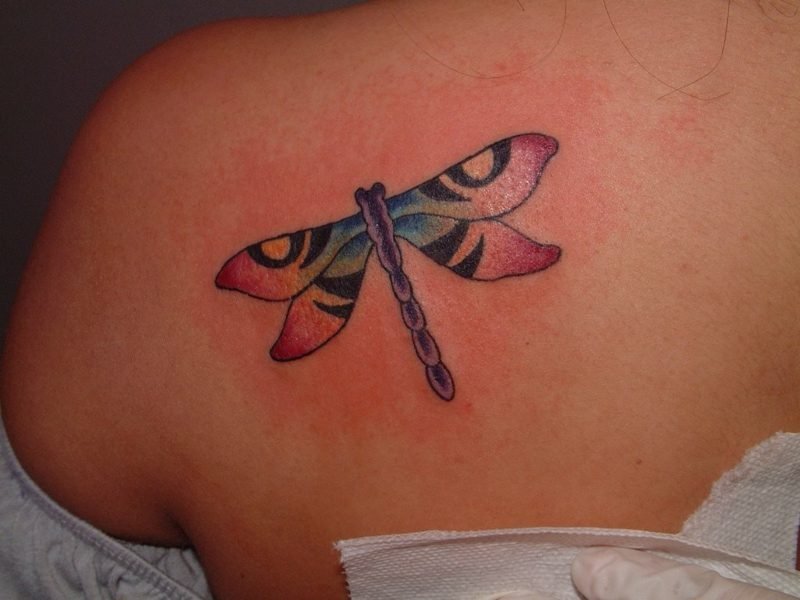 Dragonfly tatovering farget