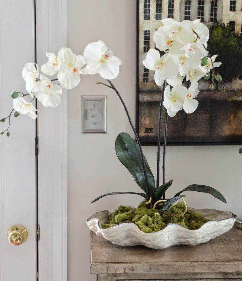 výzdoba druhů orchidejí