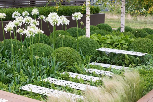 okrasné lilie bílé květiny moderní zahradní dekorace nápady