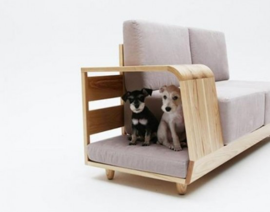 ekstravagante sofaer uvanlig modell en spesiell ekstra plass for to kjæledyrhunder