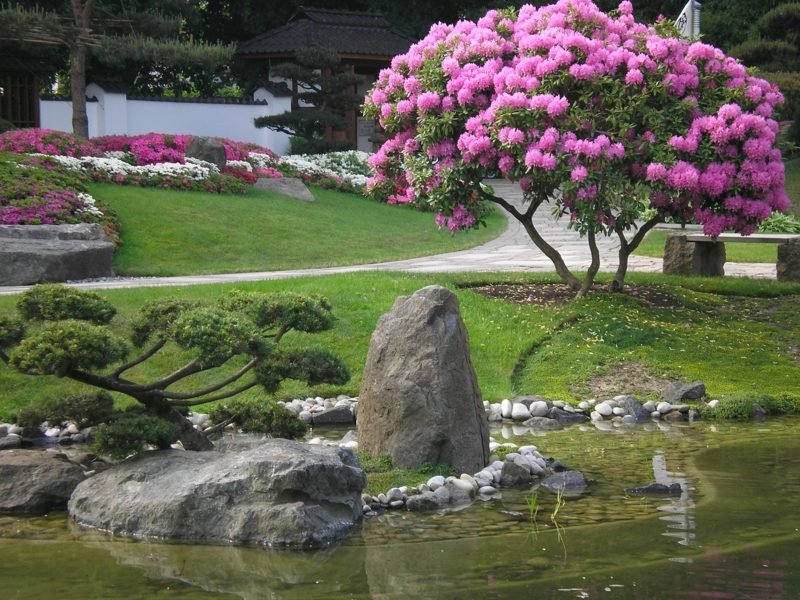 αυθεντικός κήπος Feng Shui