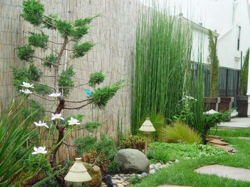 Σχεδιασμός κήπου σύμφωνα με το Feng Shui