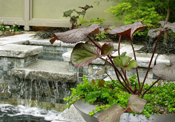 hage vann funksjon harmoni avslapning hage design ideer
