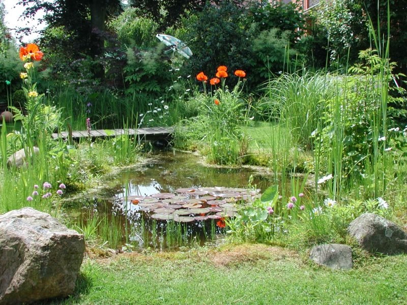 Zahradní nápady nápady rybník nádherný vzhled