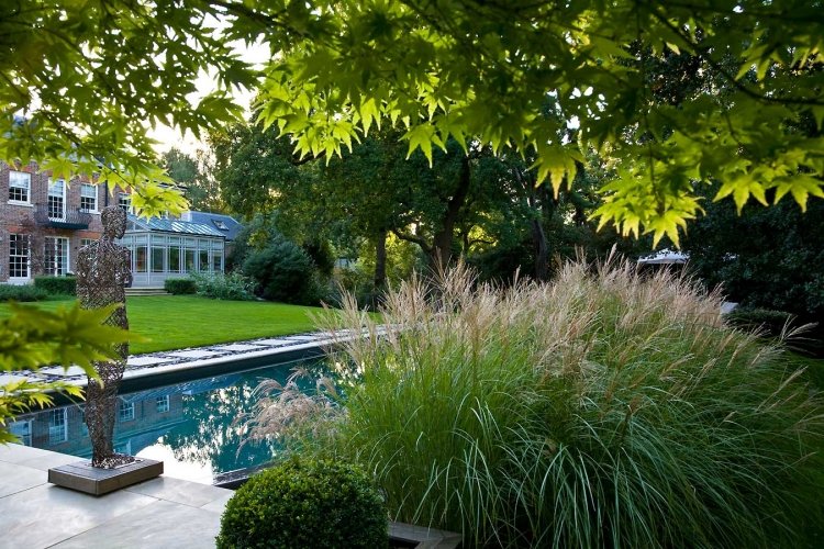 Bazén na zahradě pampy tráva stylový vzhled