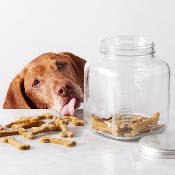 עוגיות בריאות לכלבים לחנך ולתגמל ביסקוויטים עם תפוח ודלעת