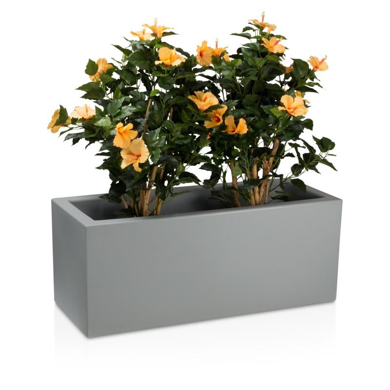 planter blomster