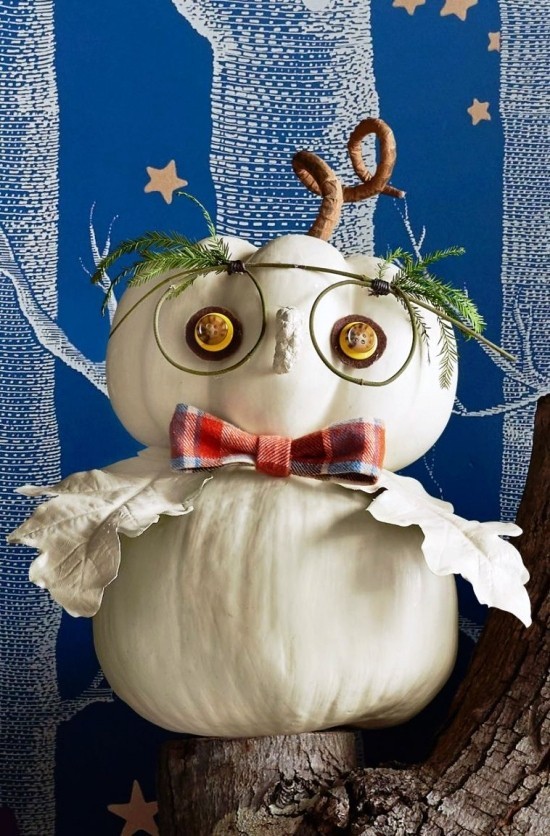 Halloween dýňová malba - 140 výtvarných nápadů a návodů vtipná sova z bílých dýní