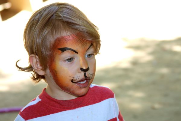 Halloween tvoří make -up lva