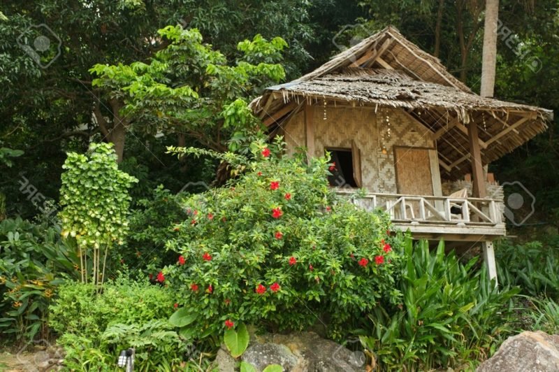 בונגלו עץ תאילנד