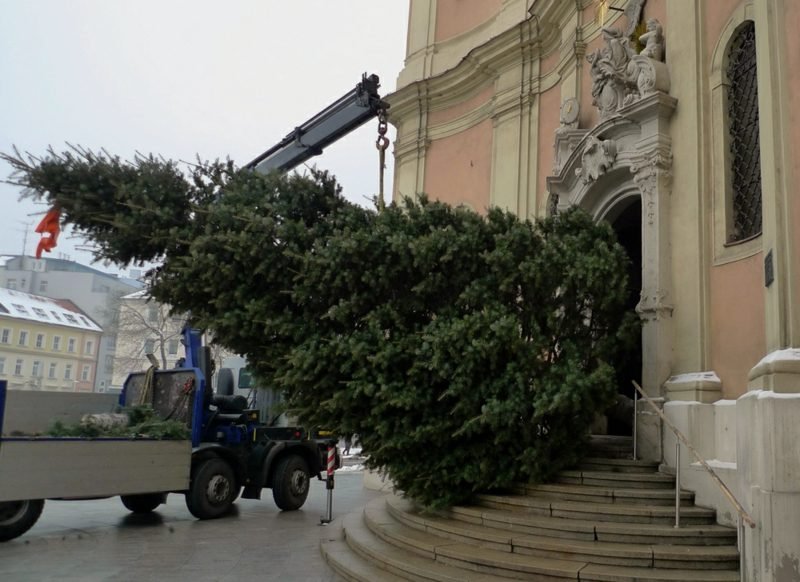 Οι εργαζόμενοι προσπαθούν να εγκαταστήσουν ένα χριστουγεννιάτικο δέντρο