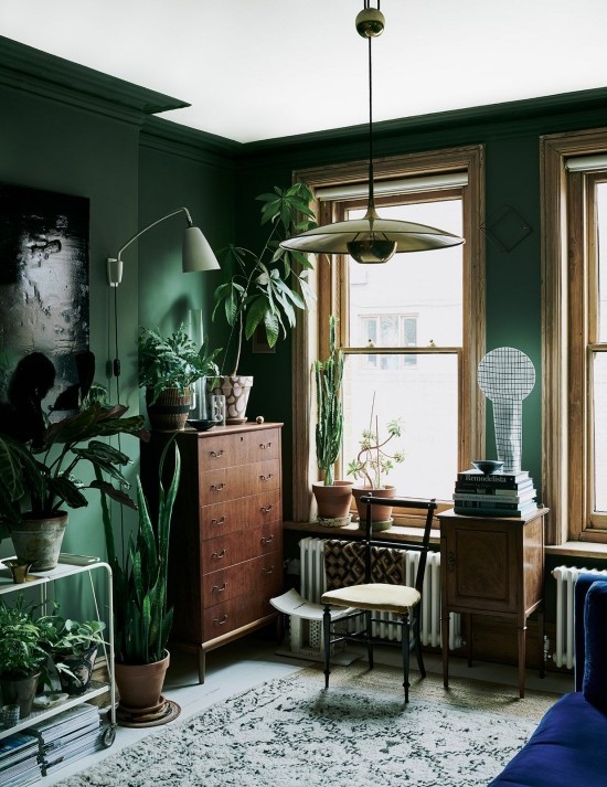 Er veggfargen mørkegrønn den rette for deg. Designtips og ideer mørkegrønne vegger med husplanter