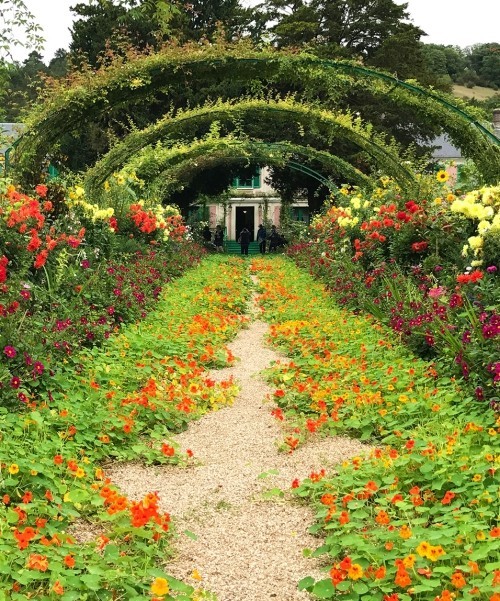 Dekk bakken med nasturtiums